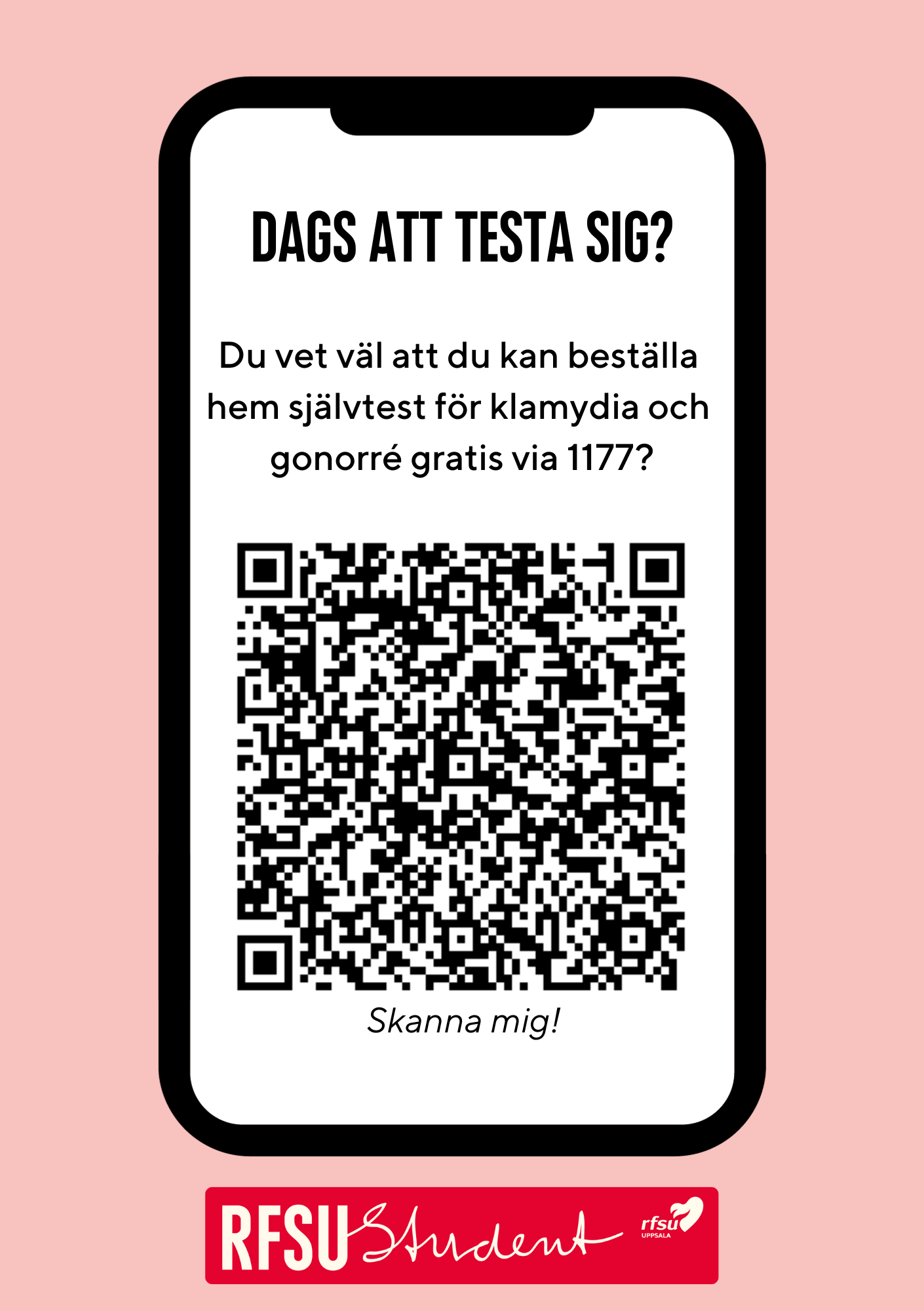 Student STI flyer back