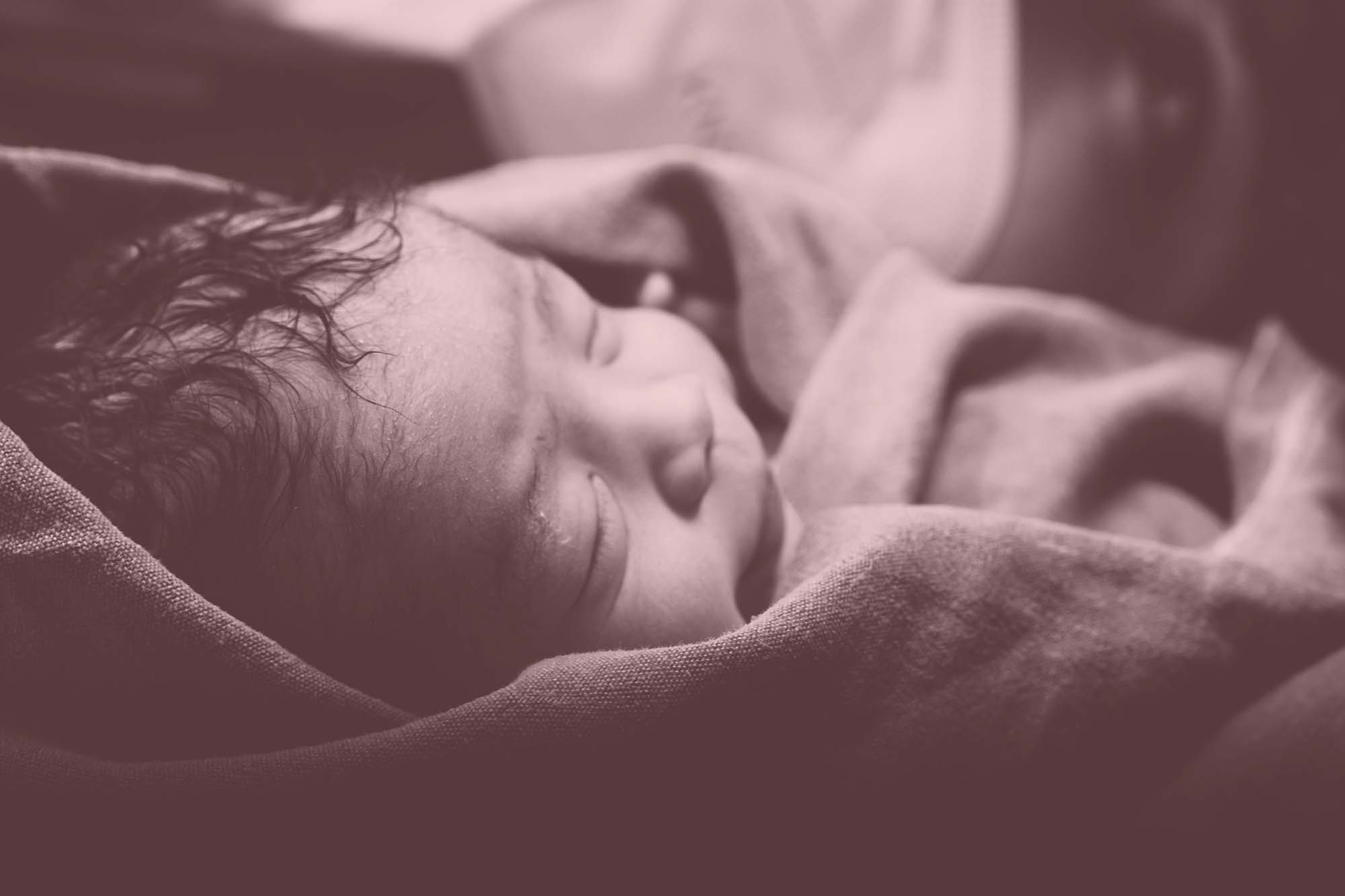 Nyfödd bebis sover invirad i en filt, svartvitt foto. 