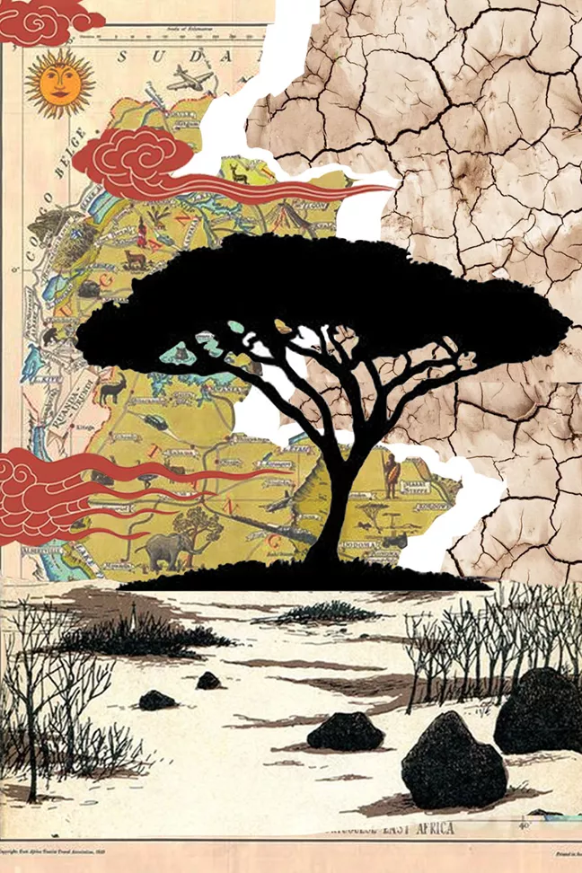 Illustration/collage of a tree on a map 