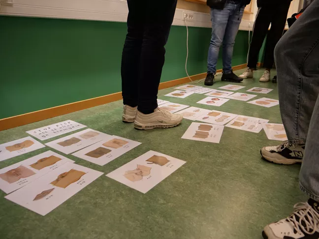 Bilder av könsorgan ligger på klassrumsgolvet.  